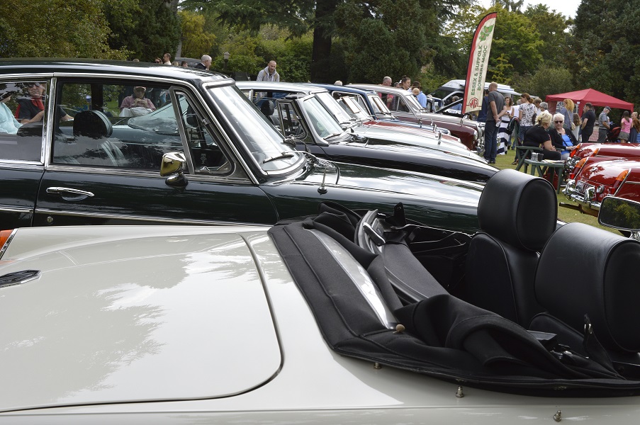 Picture of classic car show